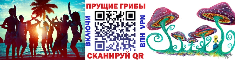 Псилоцибиновые грибы Cubensis  Купить где  Порхов 